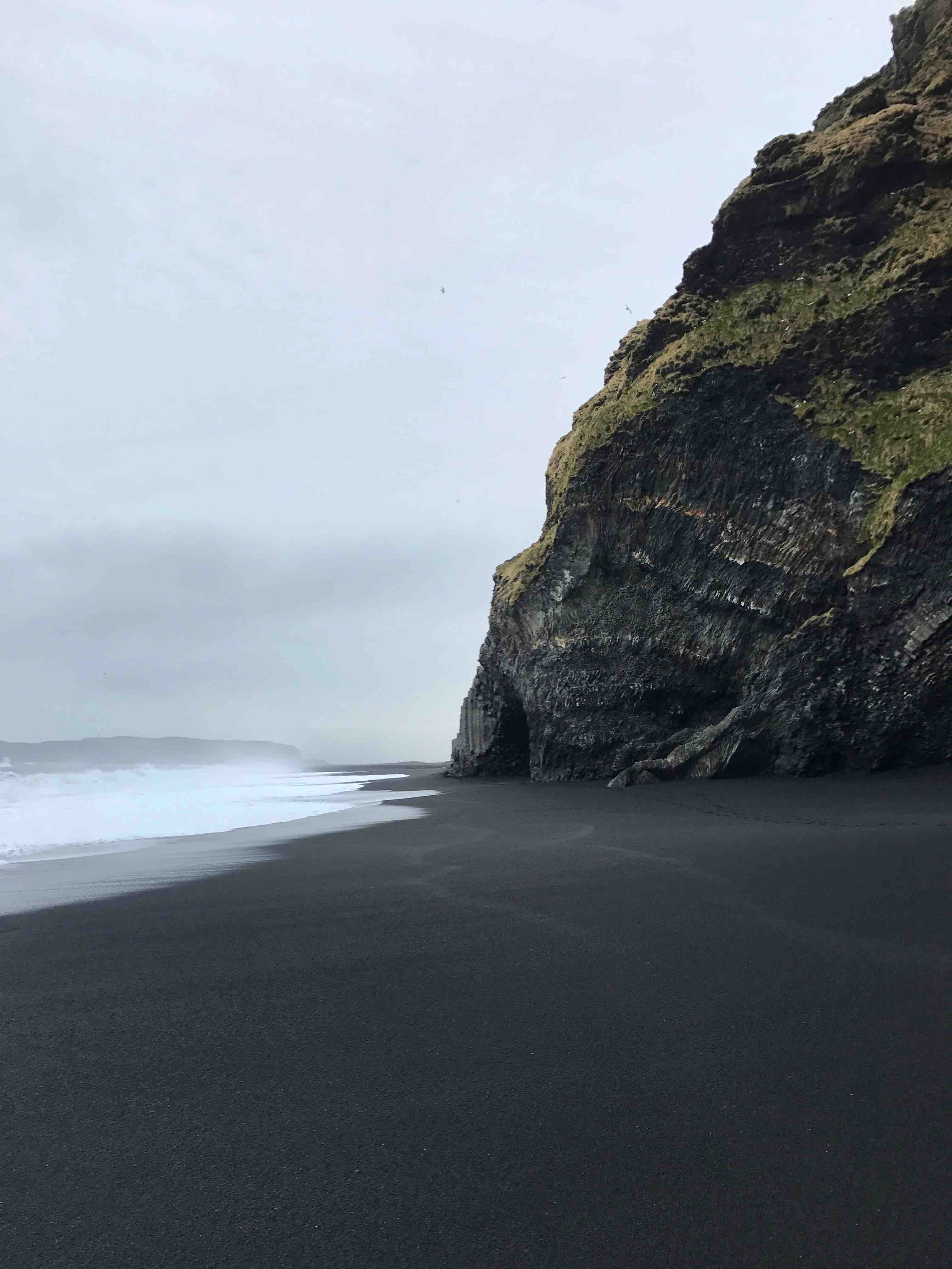 iceland reynisfjara beach blacksand storm birds sandbeach 2k