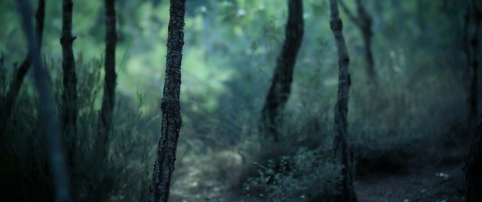 landscape ultrawide photography nature 2k
