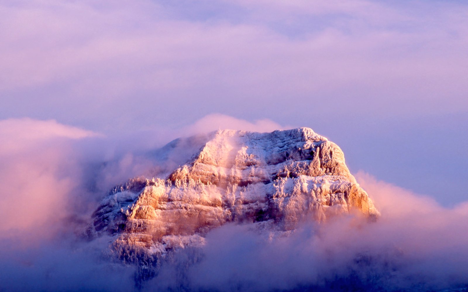 MAC OS Snow Leopard brown mountain covered with snow nature photography 2k