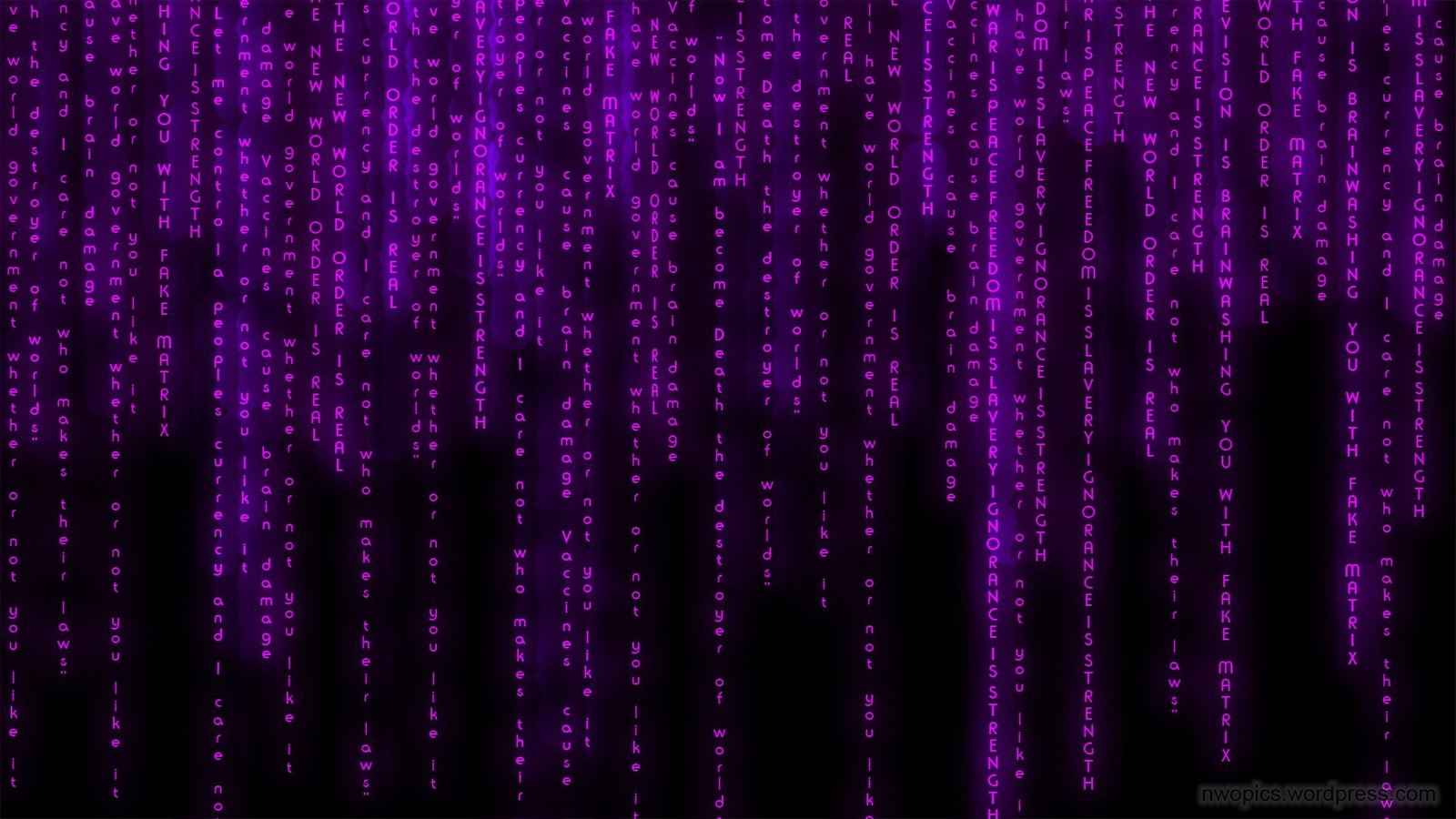 matrix background purple backgrounds technology full frame 2k