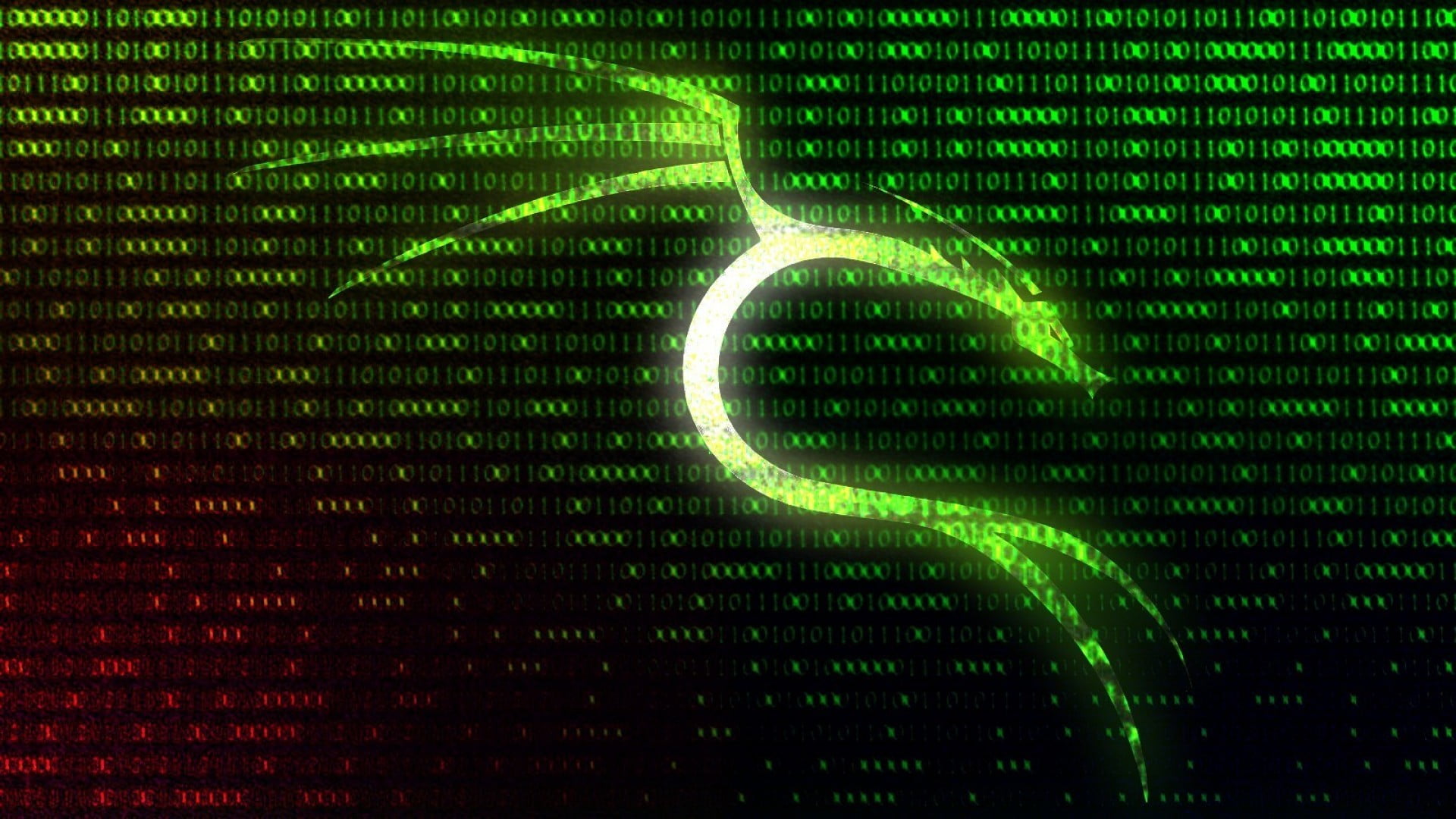 matrix digital wallpaper Kali Linux NetHunter technology 2k