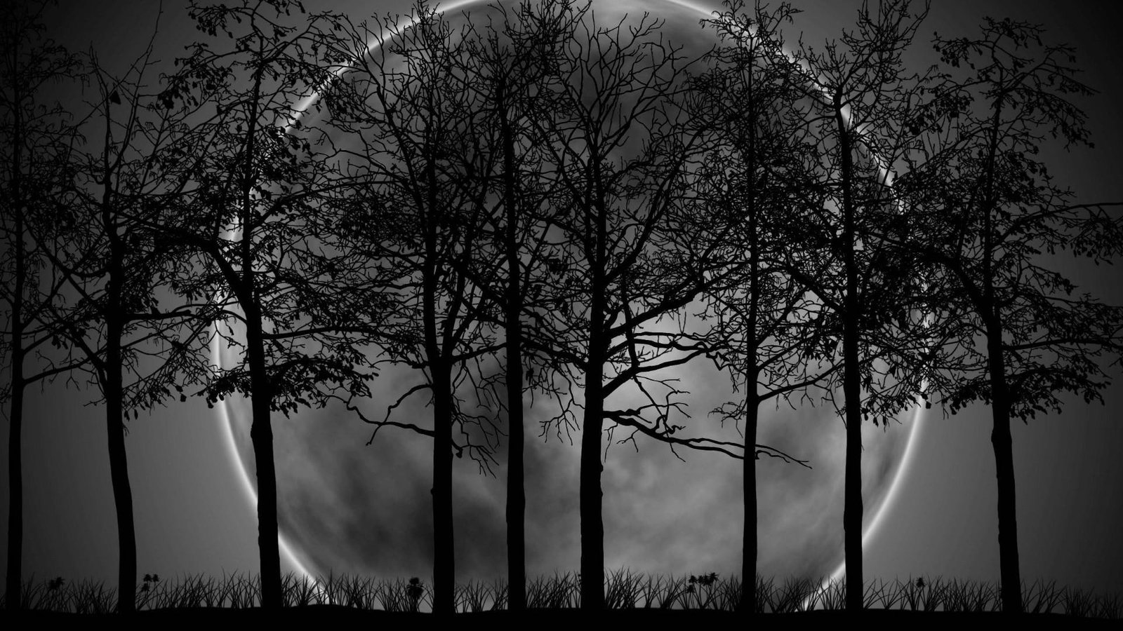 moonlight night sky full moon trees time nature 2k