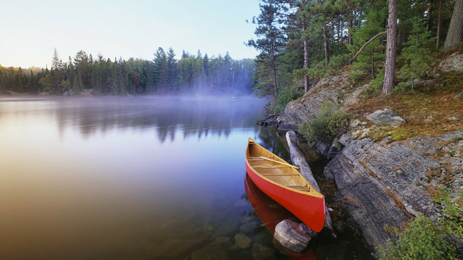 misty water nature wilderness lake tree forest river 2k