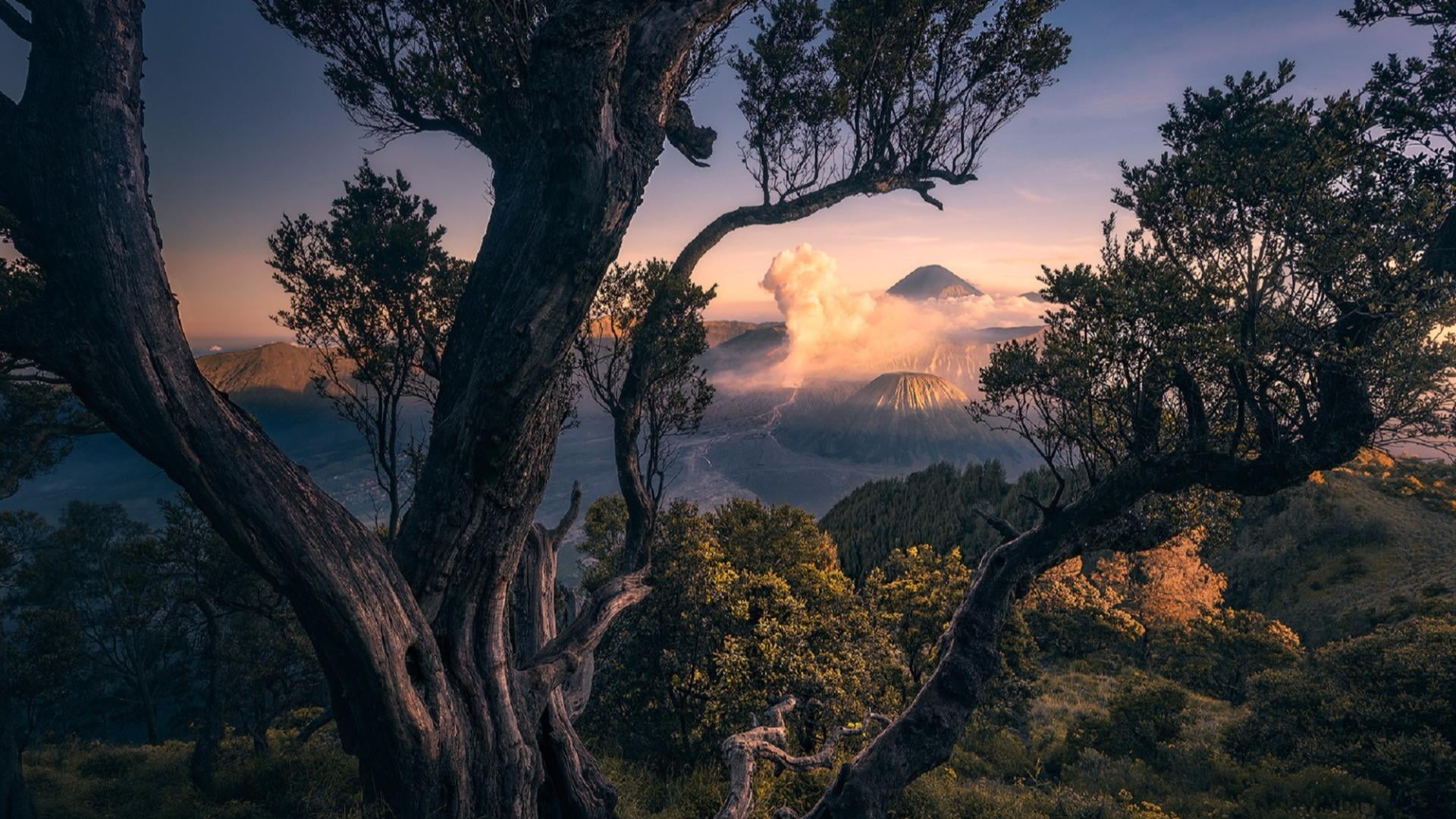 morning asia indonesia bromo tengger semeru national park 2k
