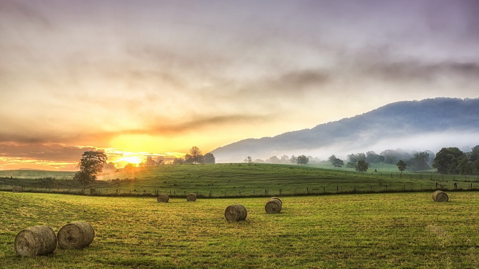 nature hd for pc download 2k