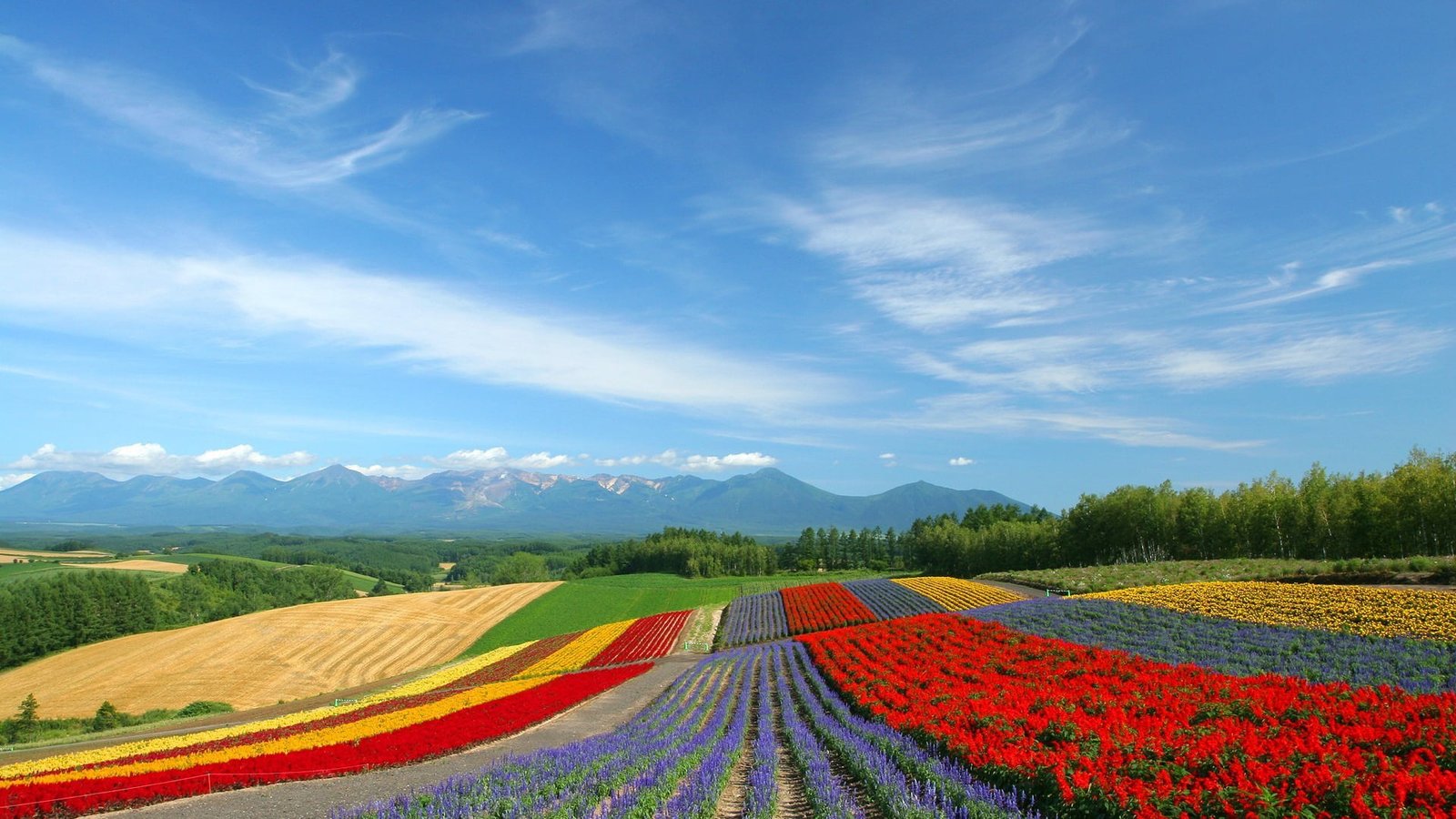 nature landscape sky grass meadow horizon clouds field 2k