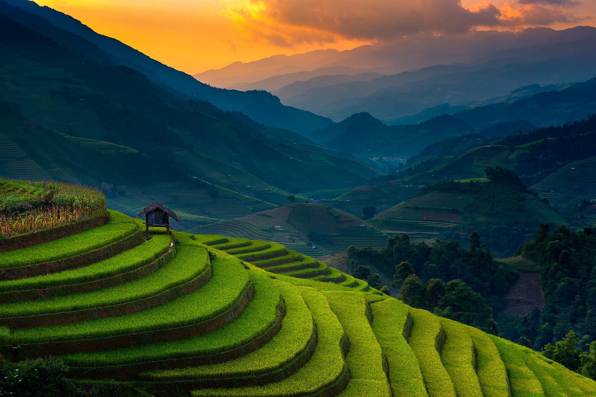 rice terraces landscape photography of Rice Terraces nature 2k