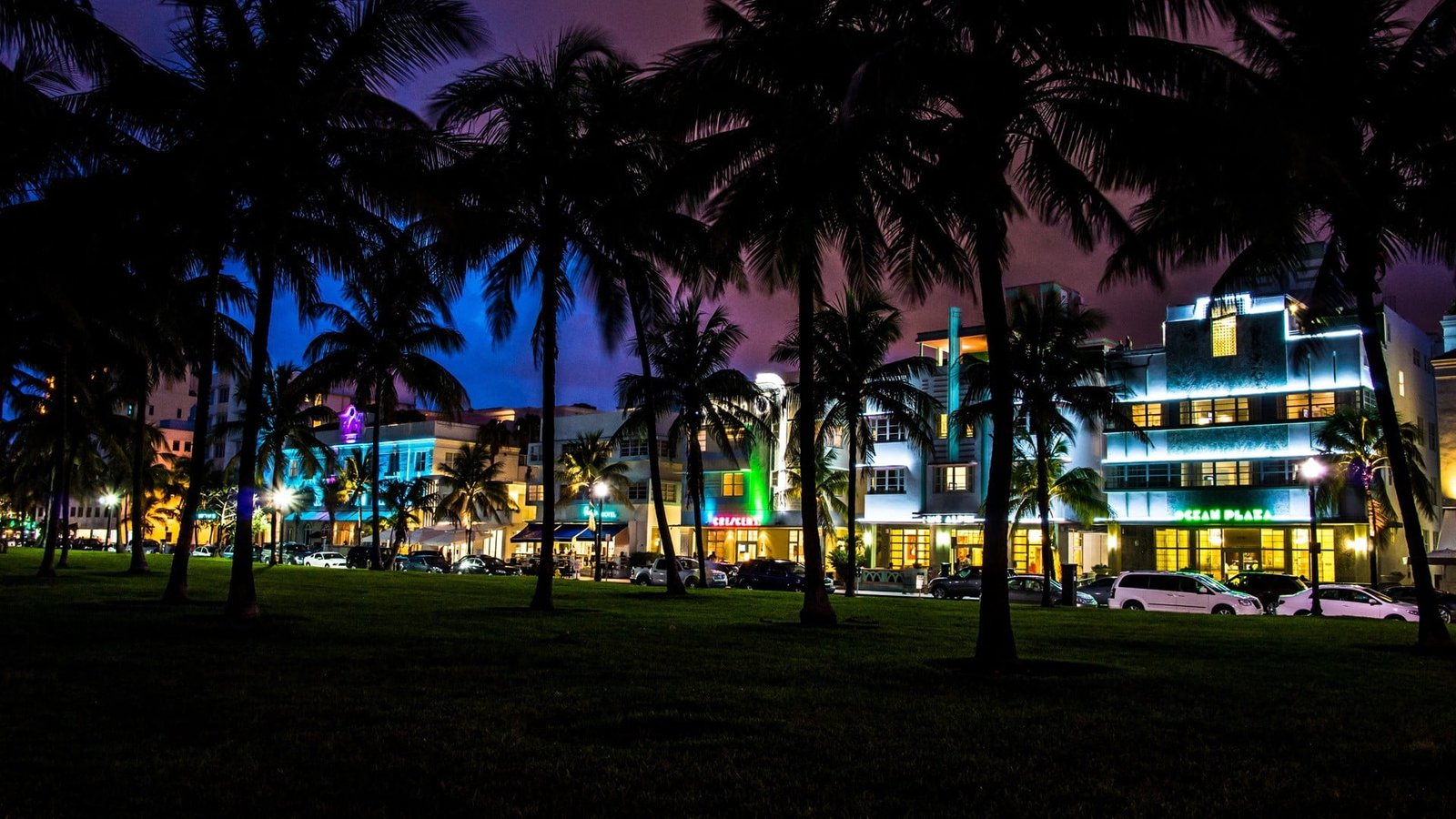 silhouette of palm trees South Beach Miami Florida tropical climate 2k
