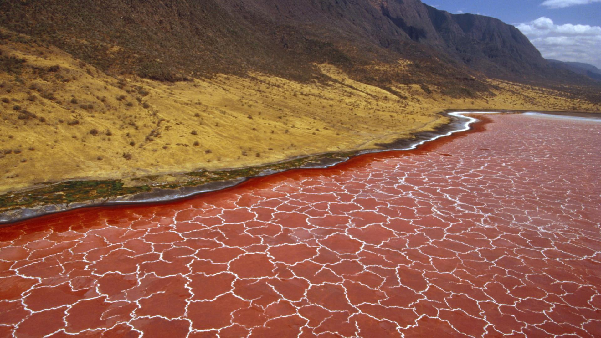 Soda Formation In Lake Natron Tanzania mountain minerals nature and landscapes 2k