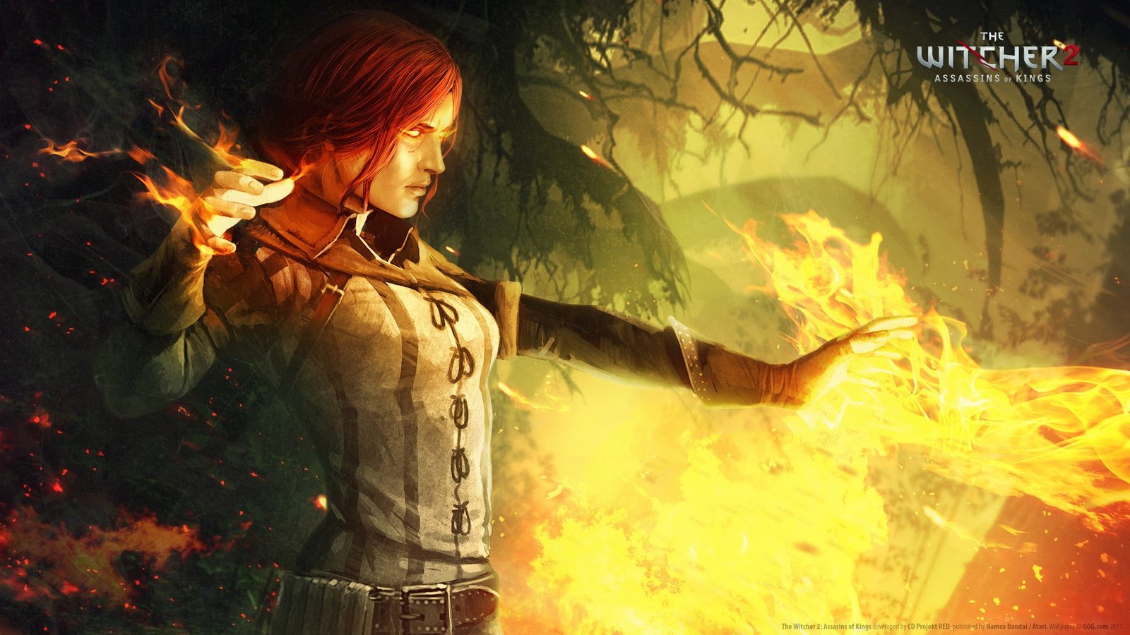 the witcher 2 assassins of kings burning fire natural phenomenon 2k