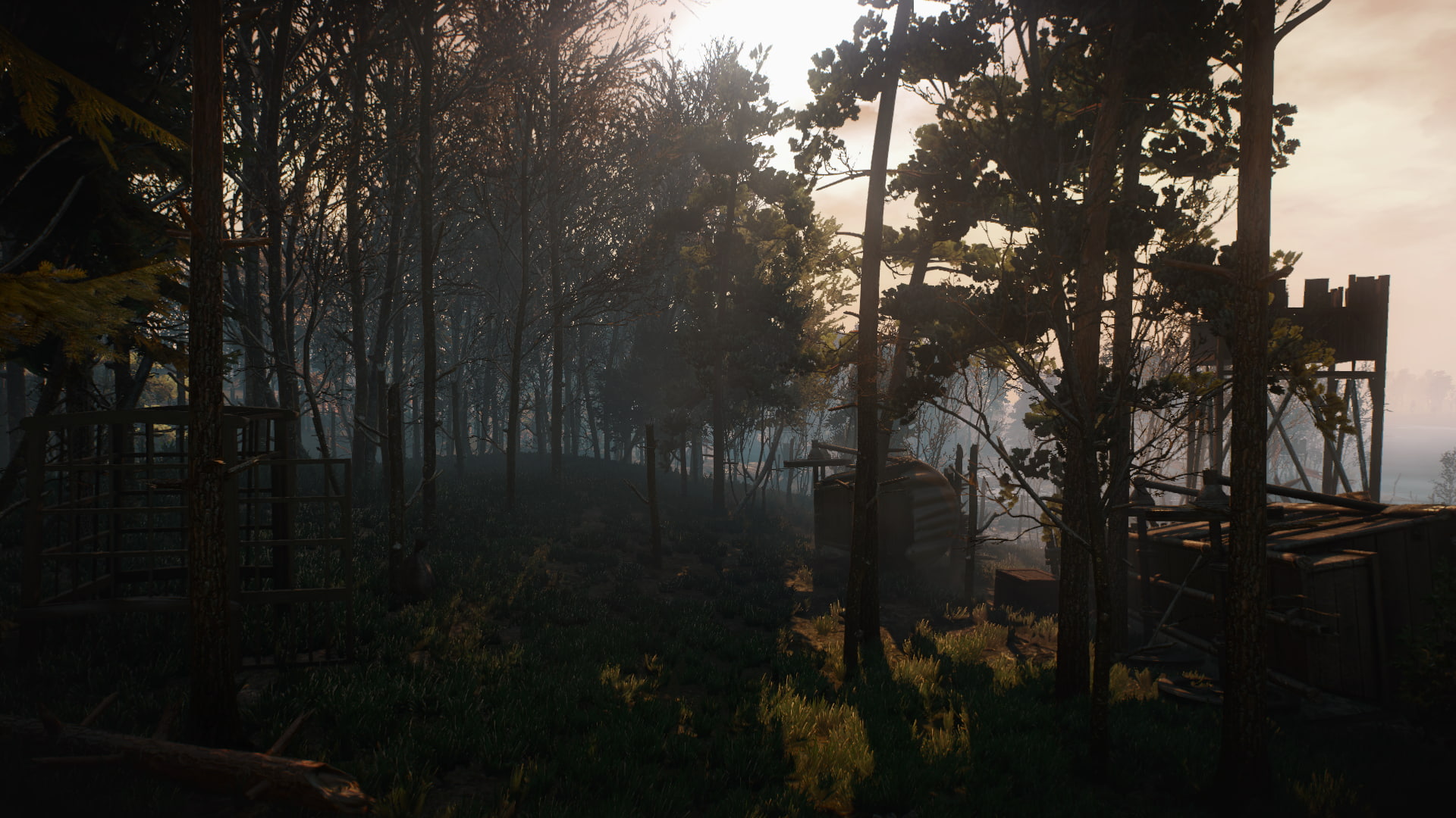 The Witcher 3 Wild Hunt video games tree plant tranquility 2k