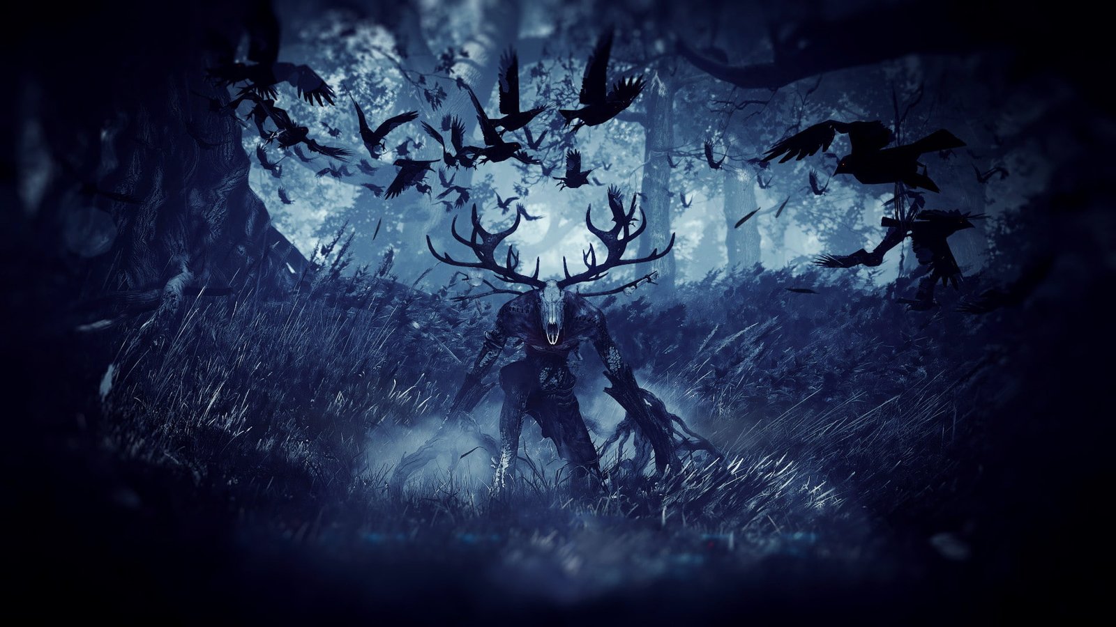 The Witcher Monster Birds HD video games 2k