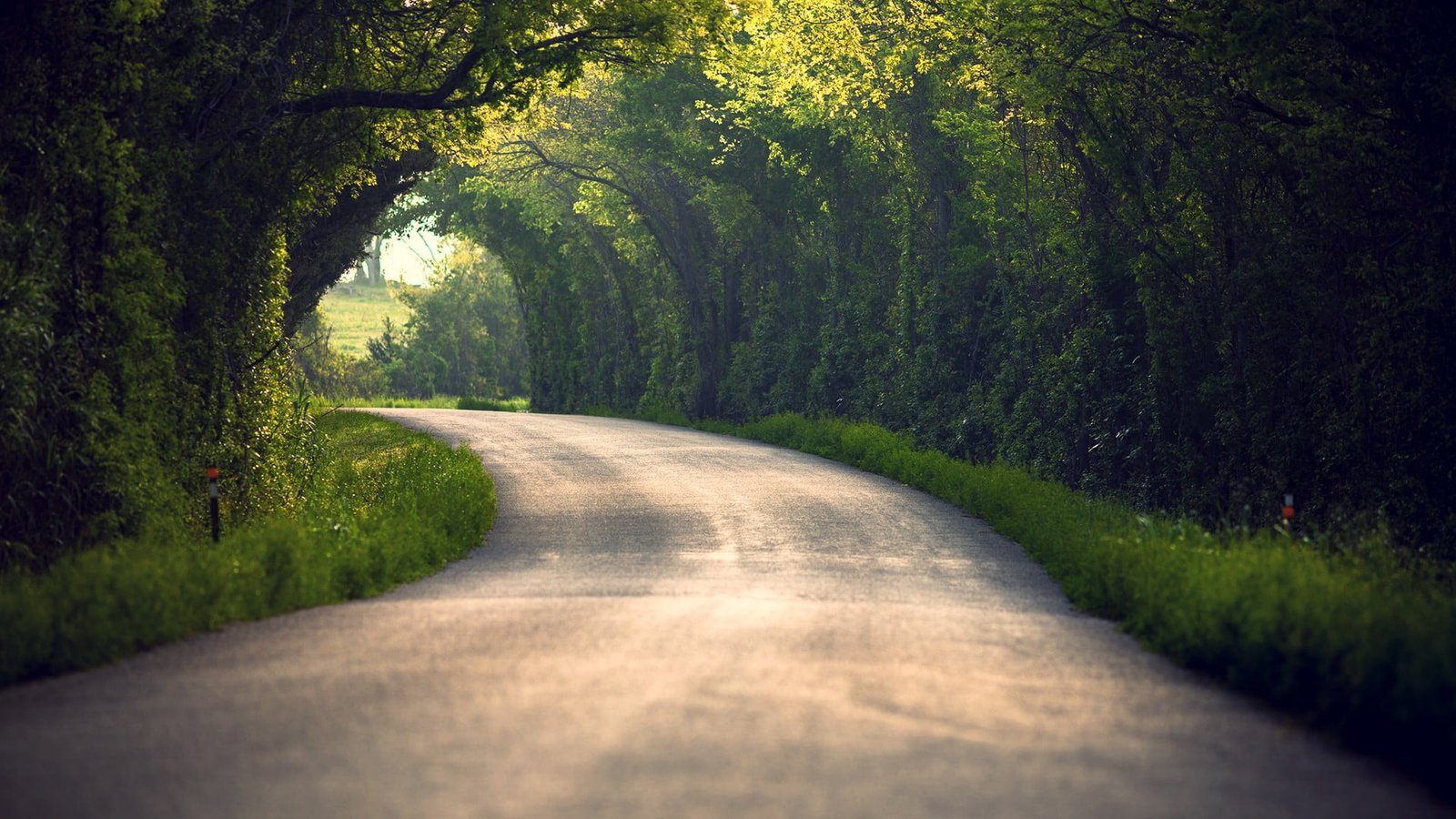 gray concrete pavement landscape trees road path nature 2k