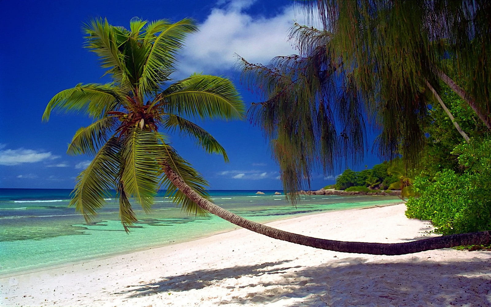 Nature Landscape Beach Palm Trees Sea Island Tropical Seychelles Summer Vacations 2k