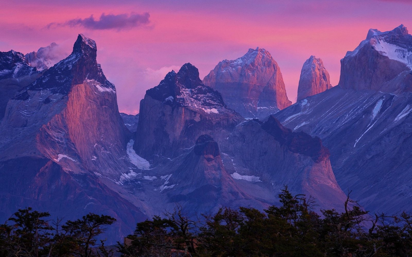 Nature Landscape Patagonia Sunrise Mountain Torres Del Paine Chile Forest 2k