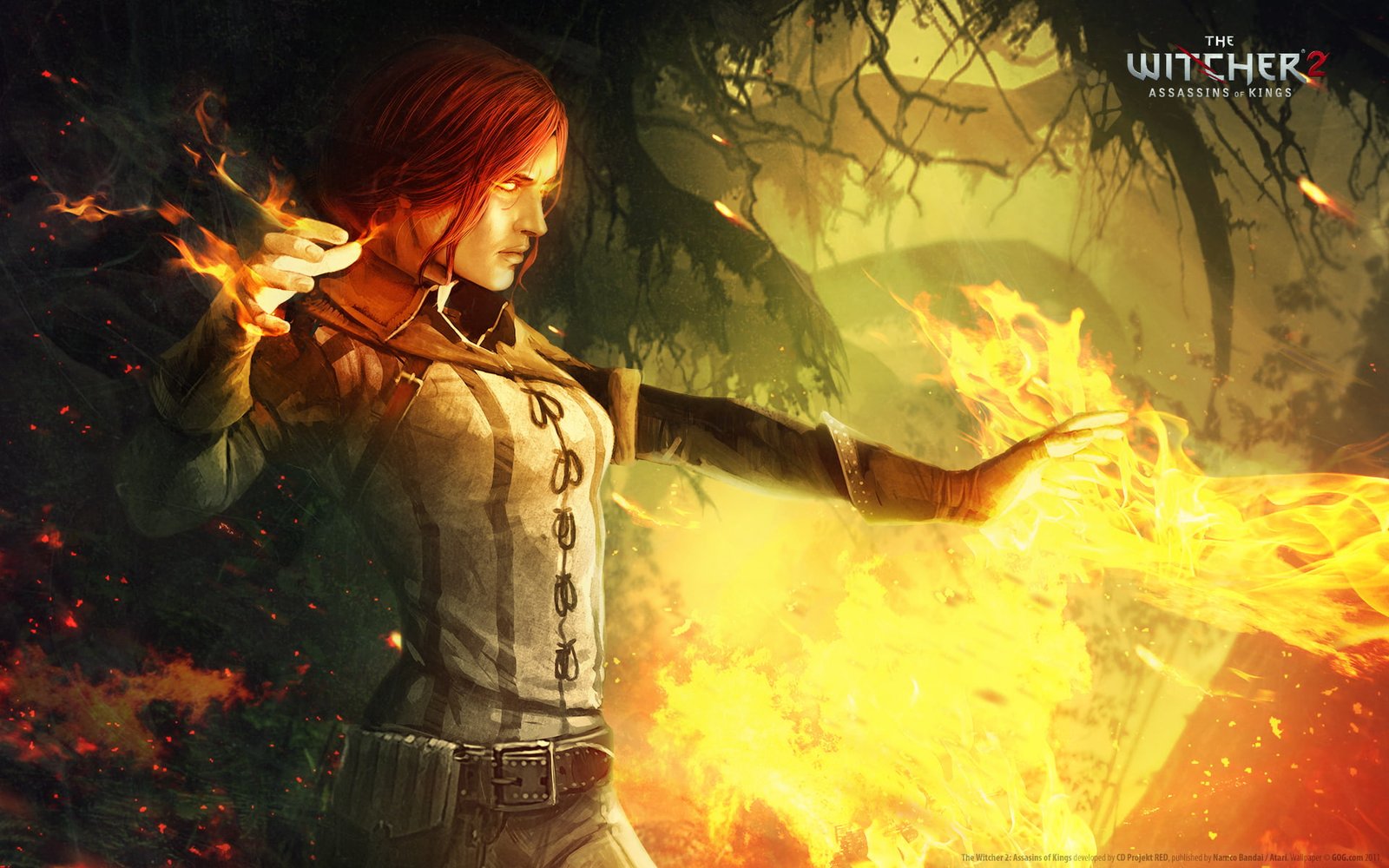 The Witcher HD video games 2k