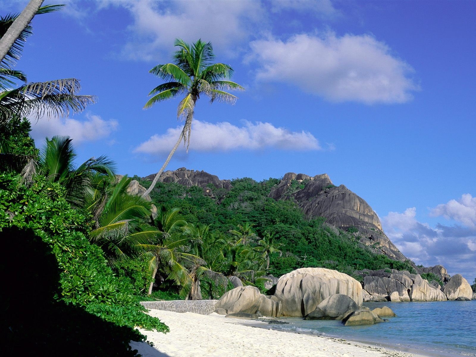 landscape island tropical palm trees beach rocks 2k