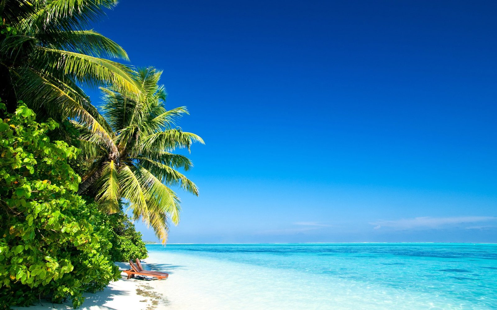 beach water sea tropical cyan clear sky sunlight palm trees 2k