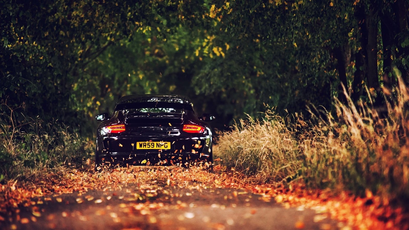 black car sports on road between trees at daytime 2k