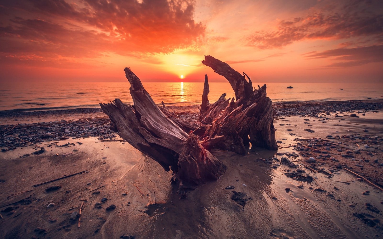 body of water beach sunlight sky wood sea nature sunset 2k