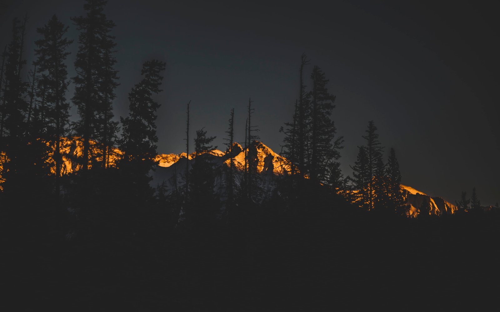 landscape photo on mountain alps silhouette of trees near white during sunset 2k 4k 5k