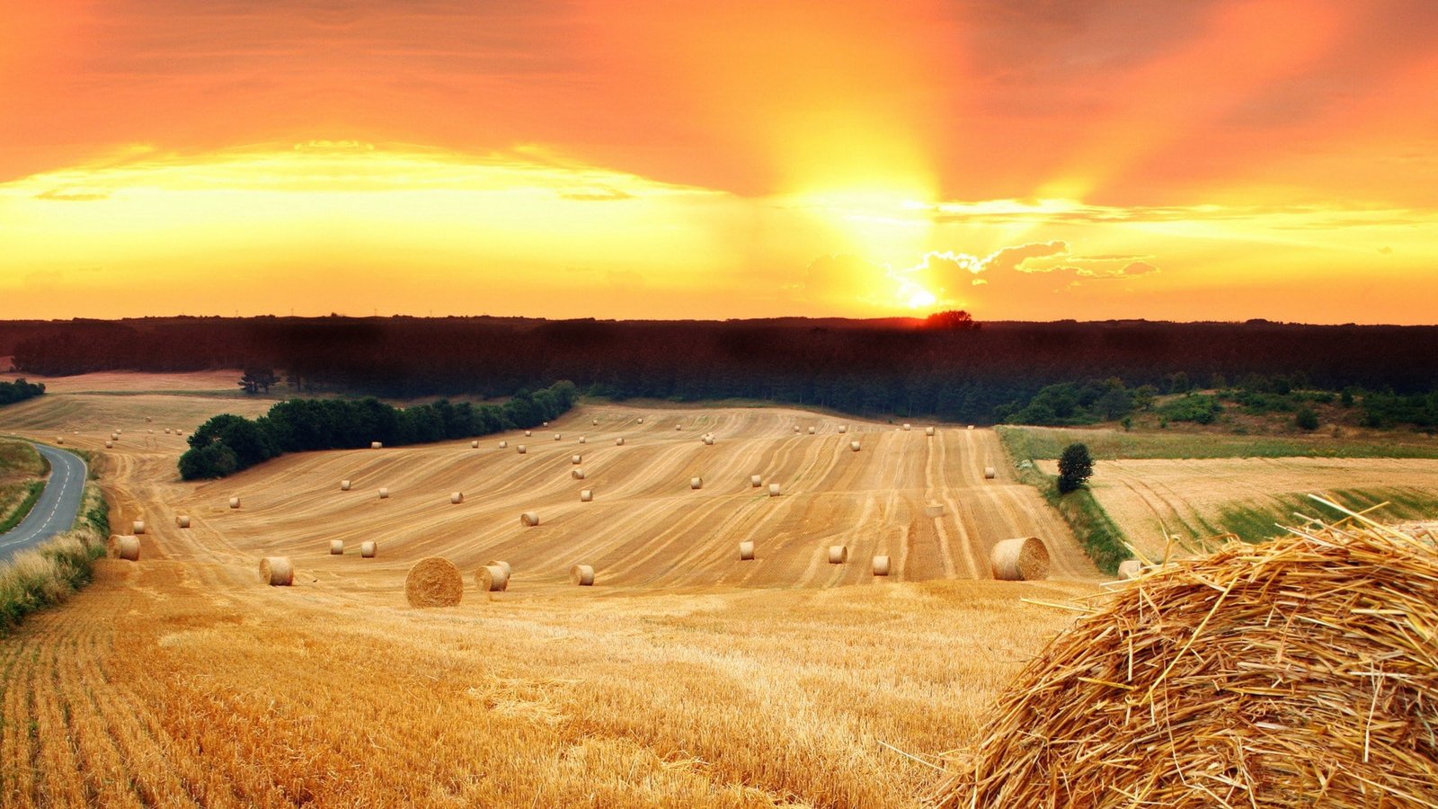 nature hd for pc download landscape agriculture 2k