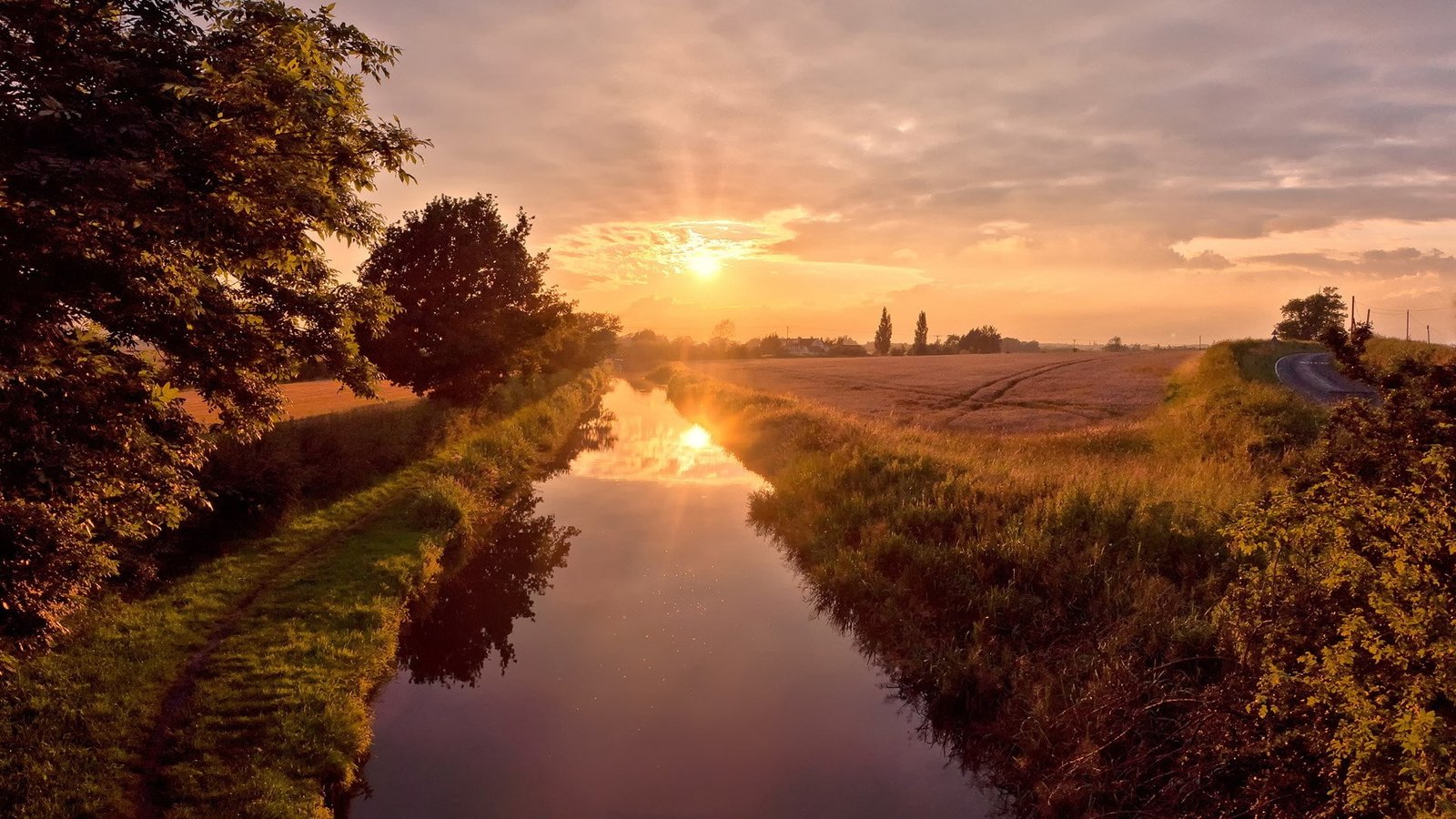 nature hd for pc download plant sky tree sunset 2k