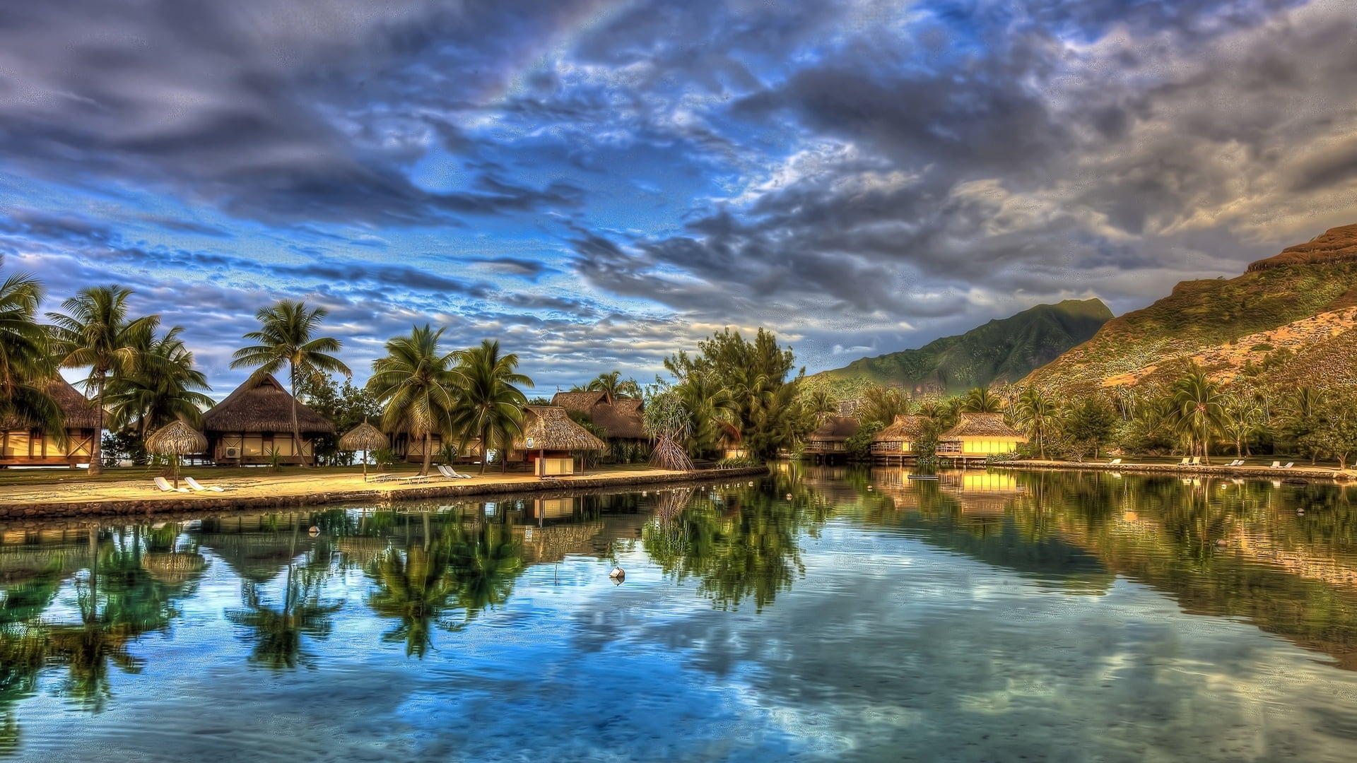 nature water shore lake landscape lakeside tree trees 2k