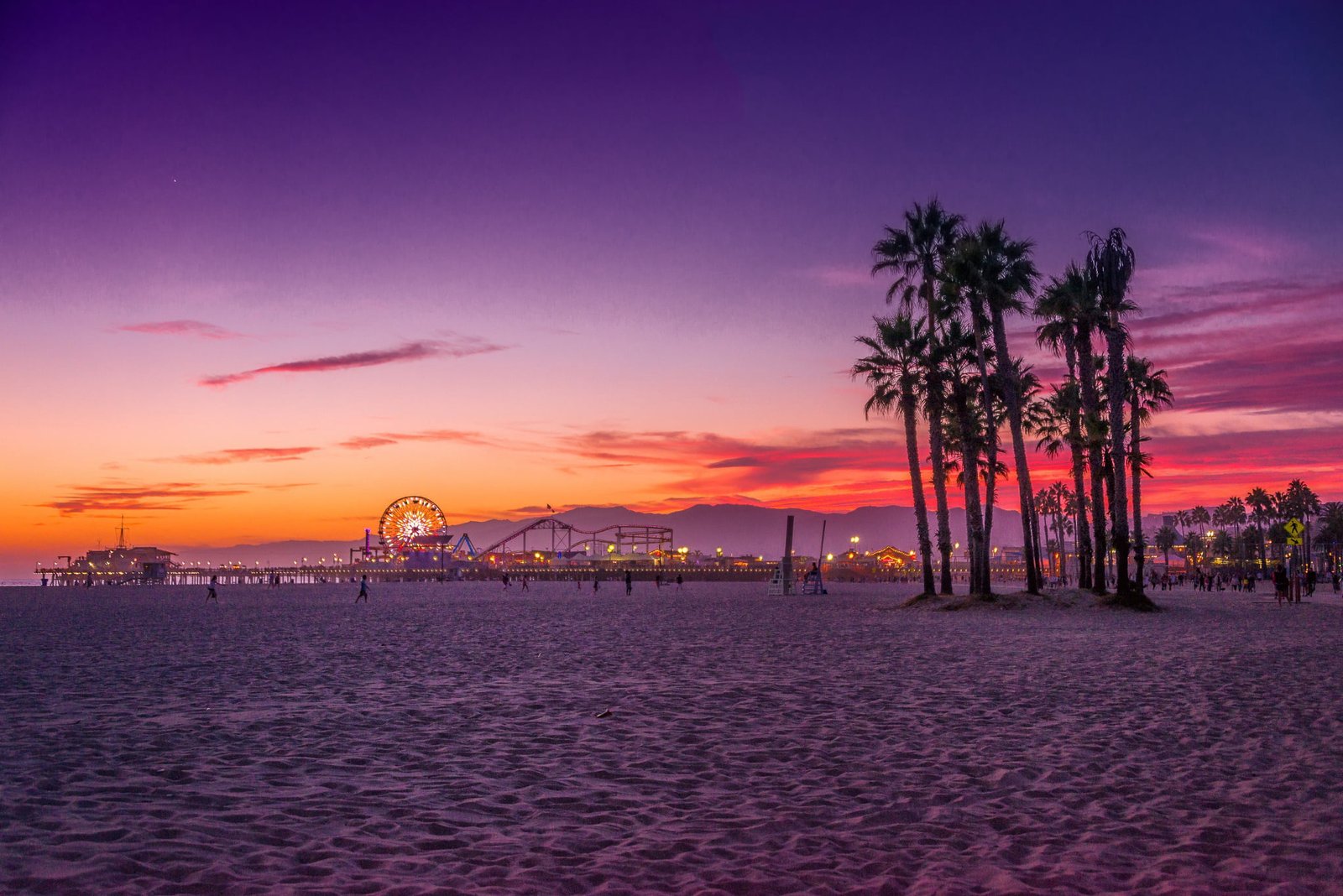 palm tree beach trees the ocean CA USA Los Angeles 2k