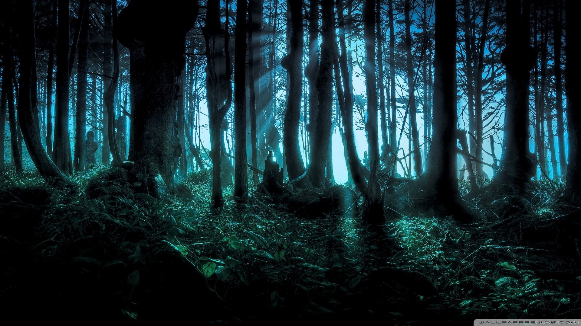 silhouette of rainforest during night time fantasy art artwork 2k