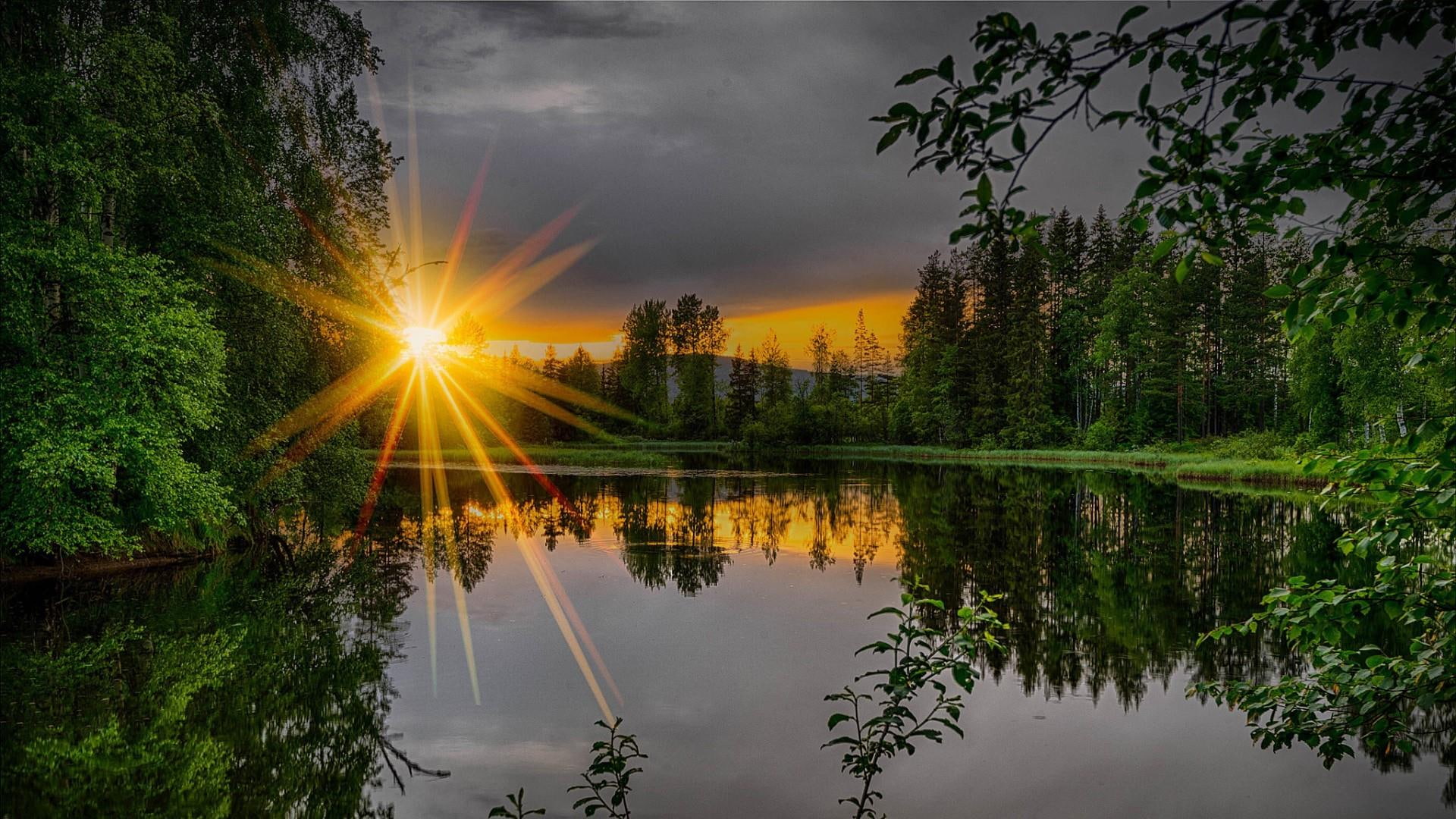 sun sunray lake water forest reflected reflection nature 2k