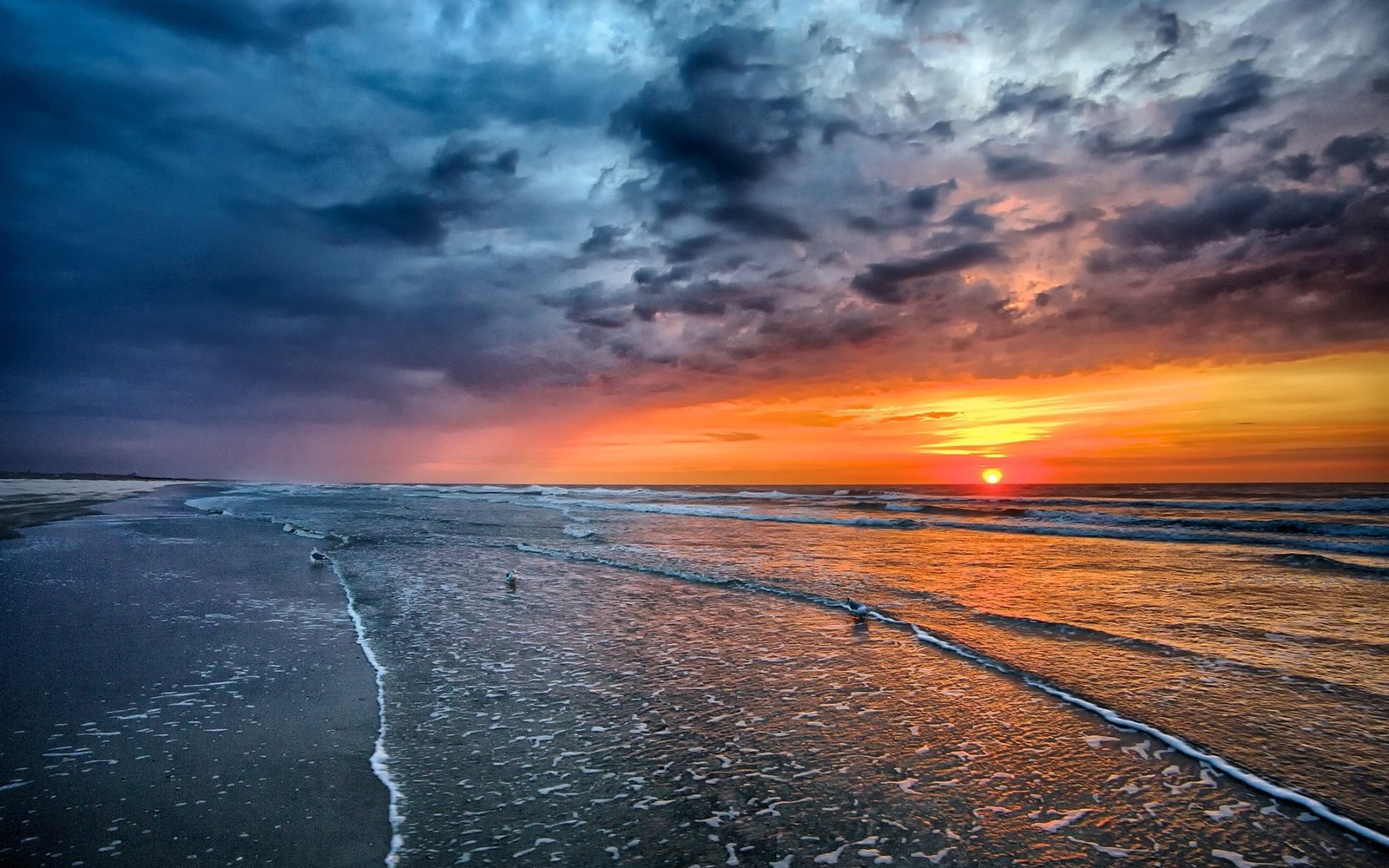 Sunset sea beach coast waves birds nimbus clouds 2k