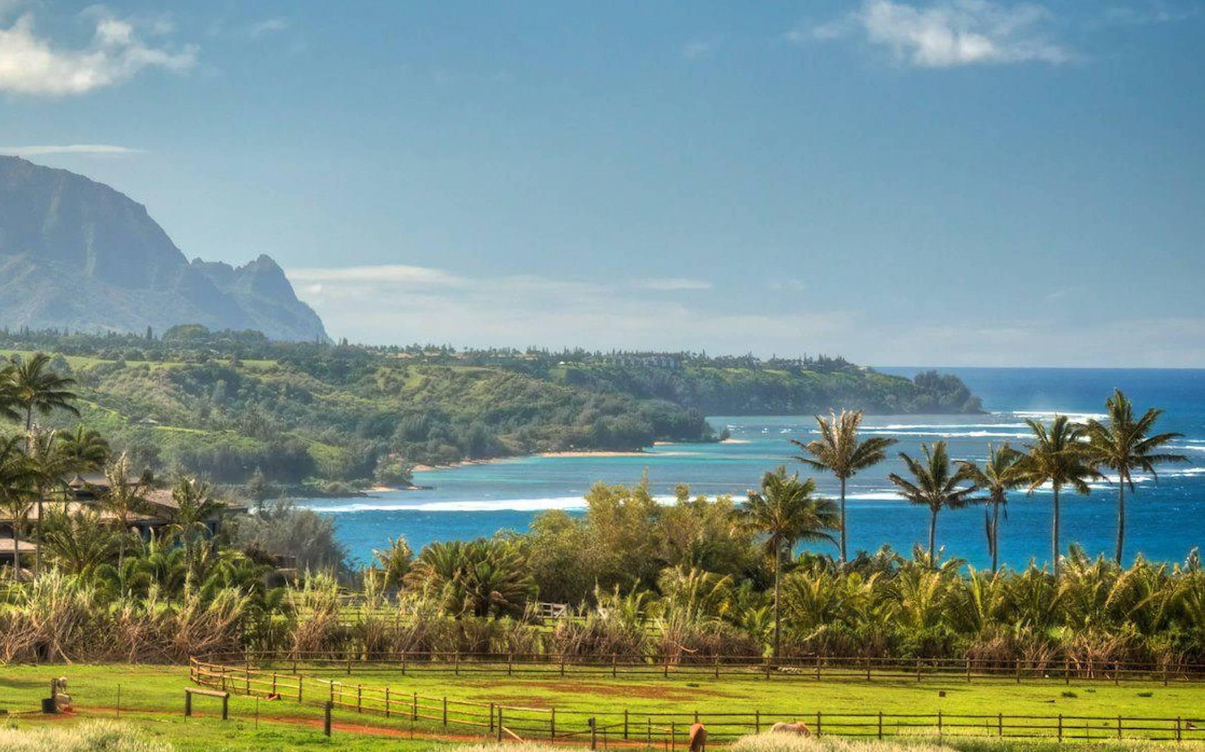 View Of North Beach Kauai Hawaii coconut trees pacific sea view 2k