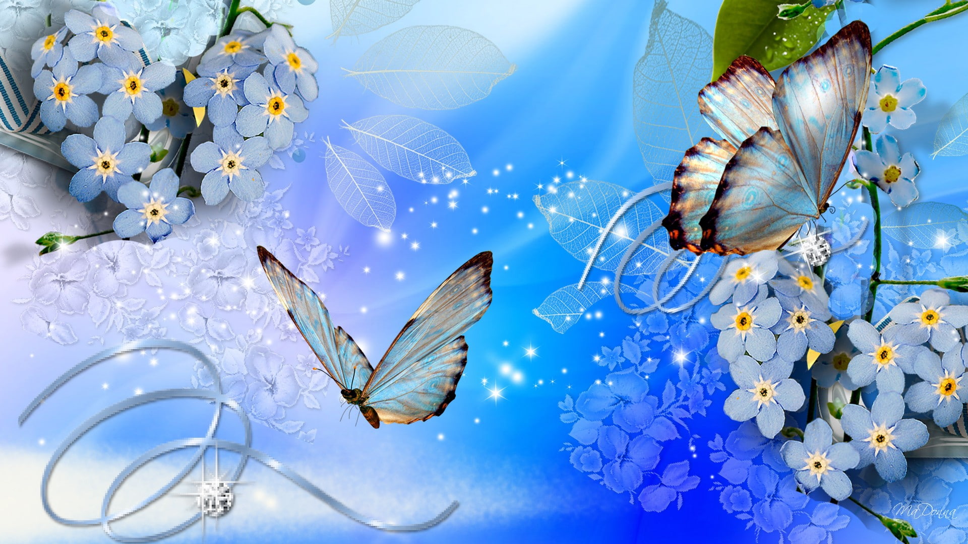 blue butterflies Blue Butterflies Flowers Nature HD Art 2k