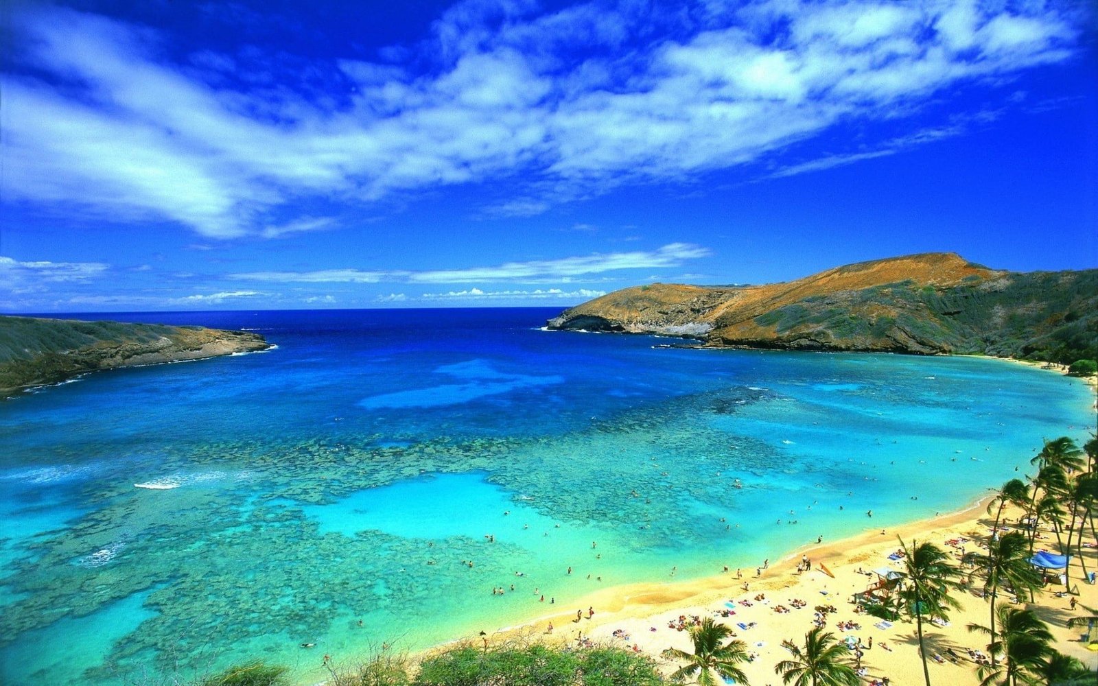 body of water landscape nature sea beach palm trees sky 2k