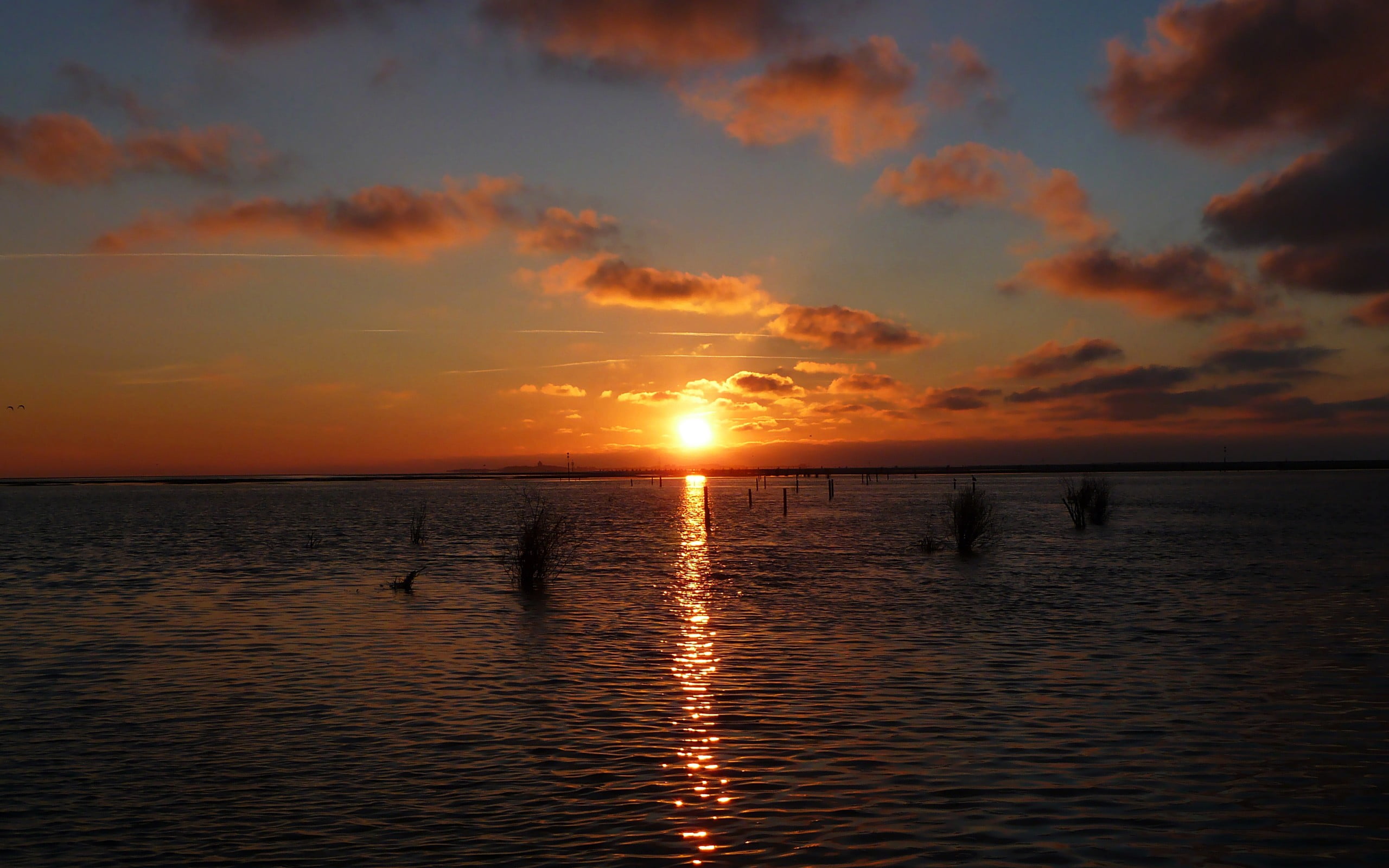brown wooden framed wall decor sunset beach sky clouds sunlight 2k