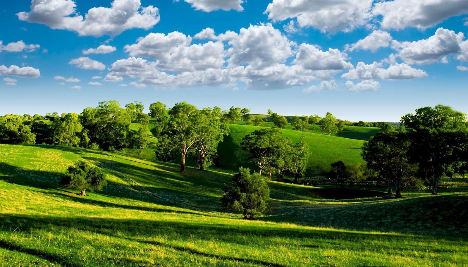 green trees and river painting nature landscape hills plant 2k