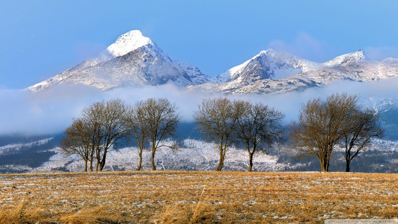 green trees nature landscape mountains Tatra Mountains Slovakia 2k