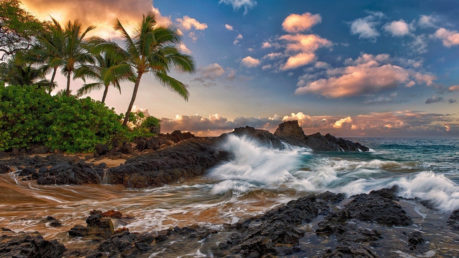 Maui Hawaii quiet ocean rocks palm trees beach 2k