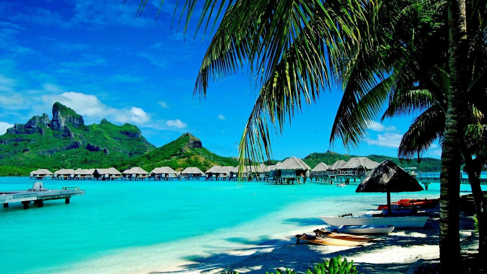 palm tree summer holiday exotic bungalows seashore beach 2k