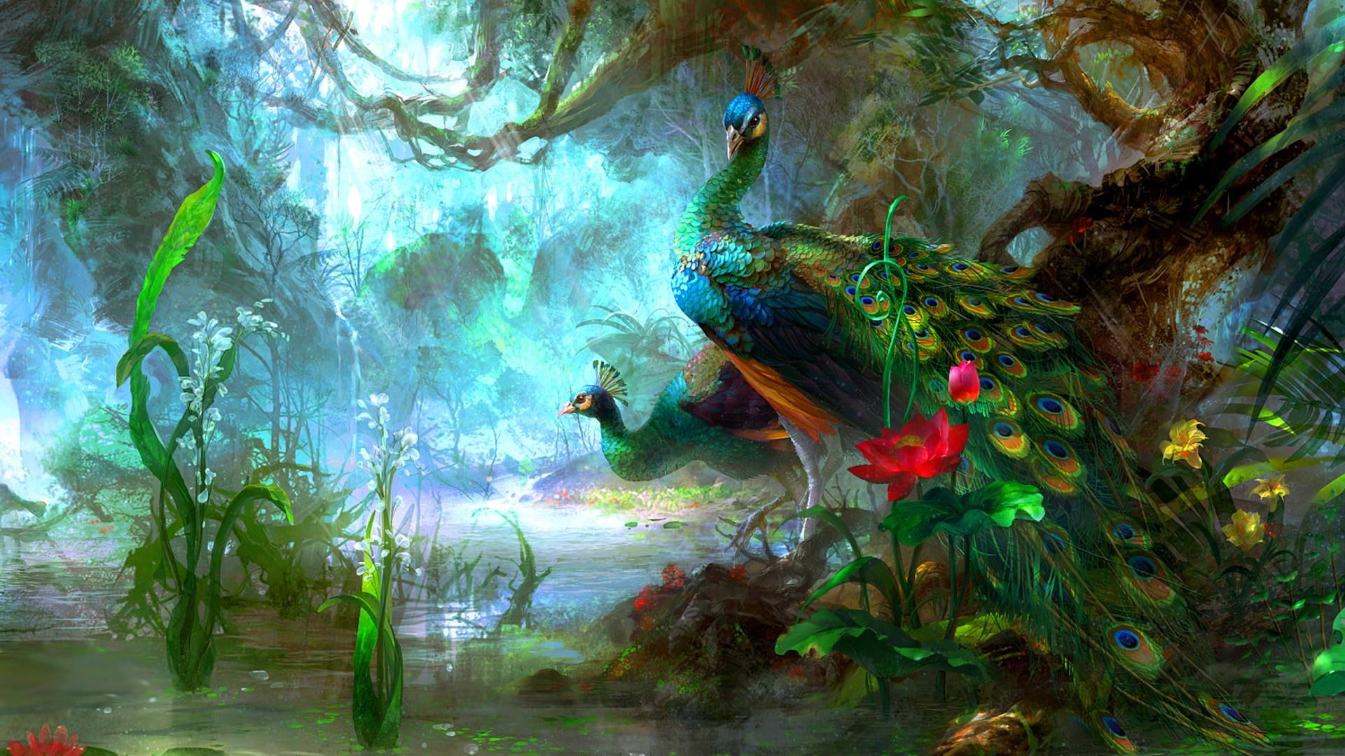 peacock artistic artwork peacocks lake green nature bird 2k