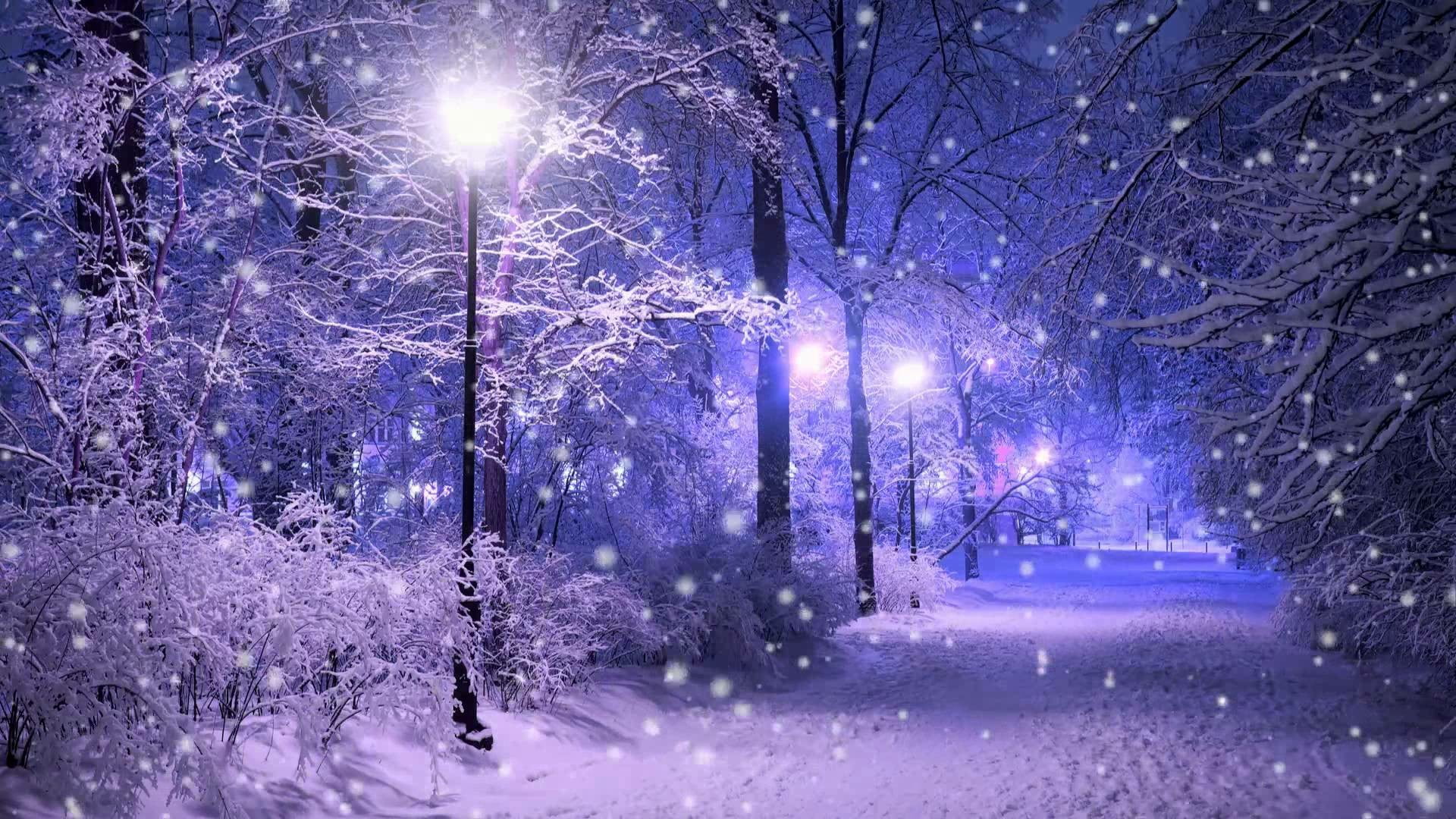 street light snow snowing winter park nature freezing 2k