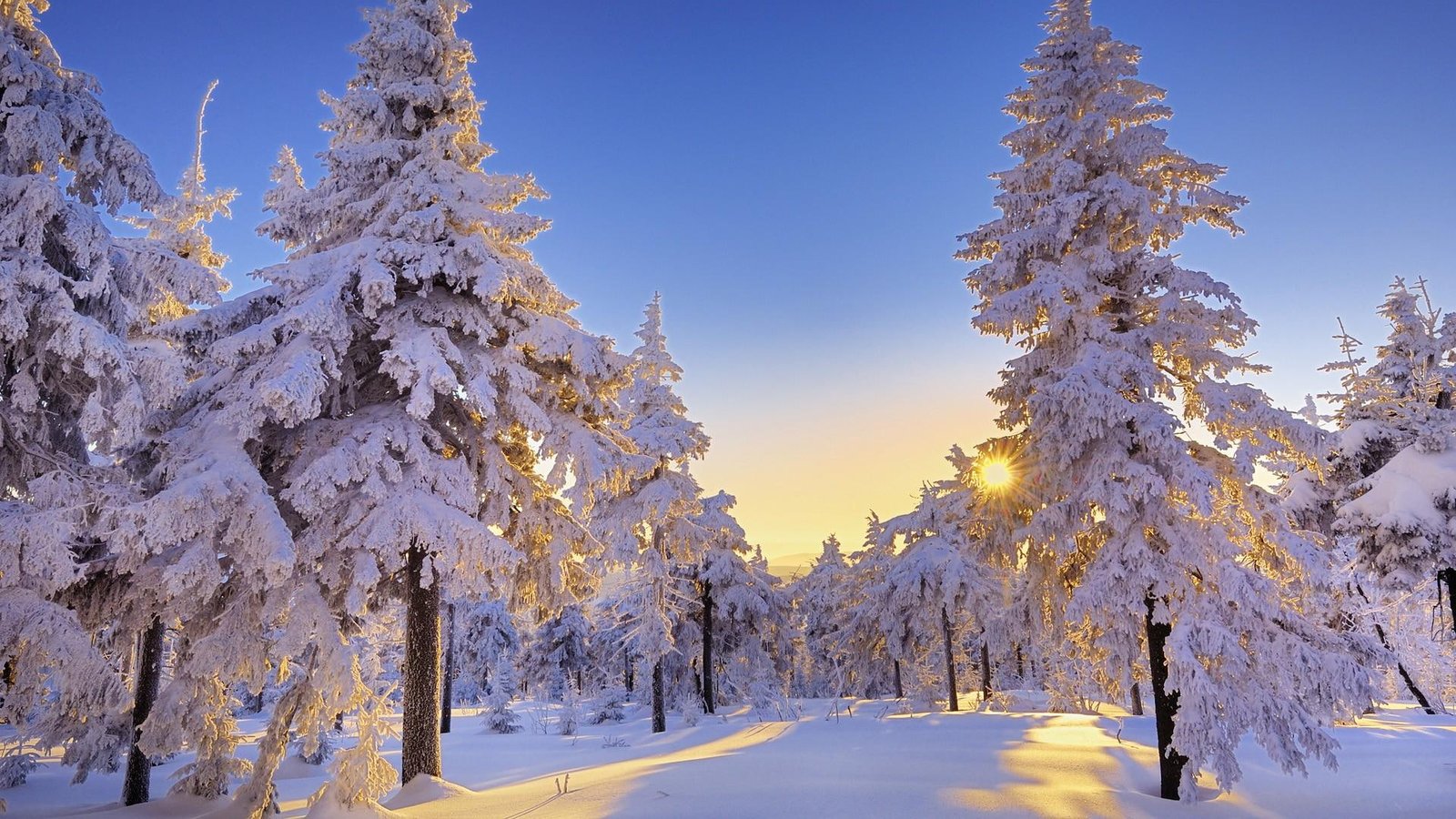 Winter In Germany amazing winter landscape blue scenery 2k