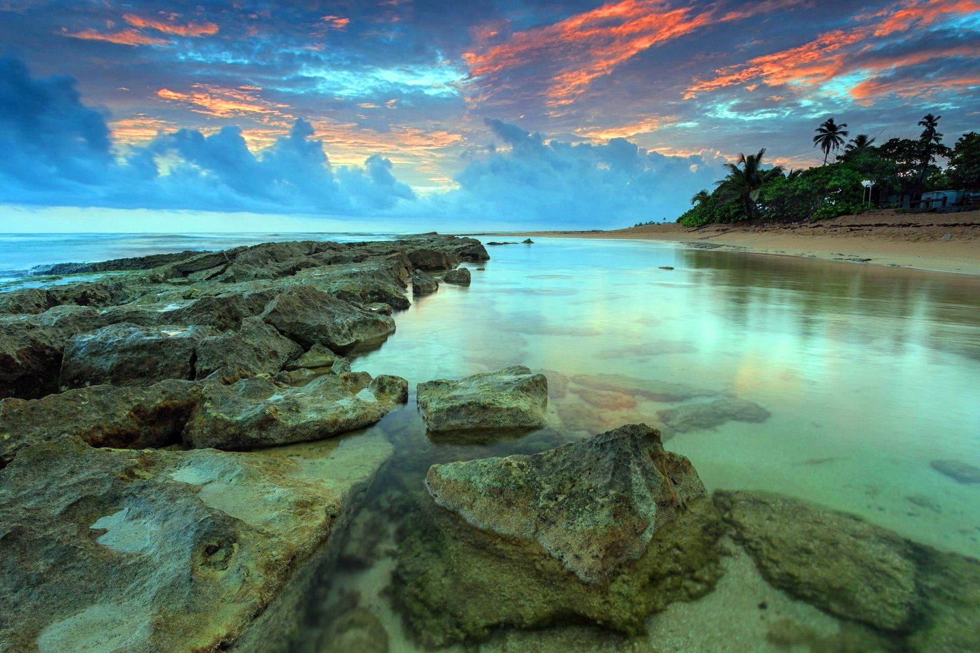 Beach Stones picture coool palms paisaje nice peisaje water 2k