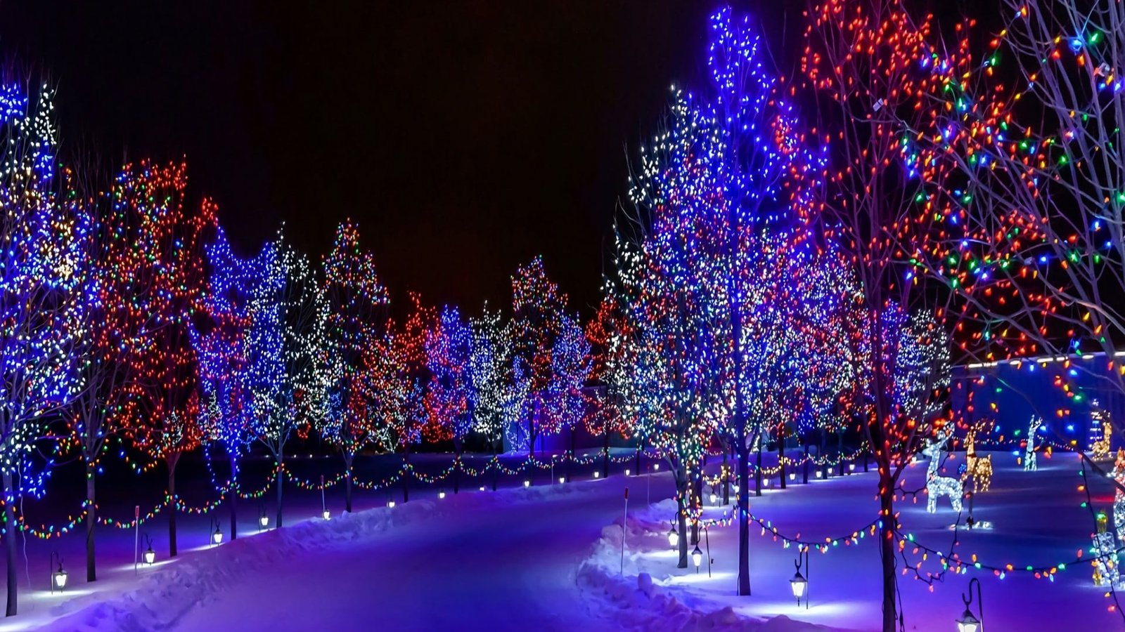 christmas xmas winter snow lights decoration 2k