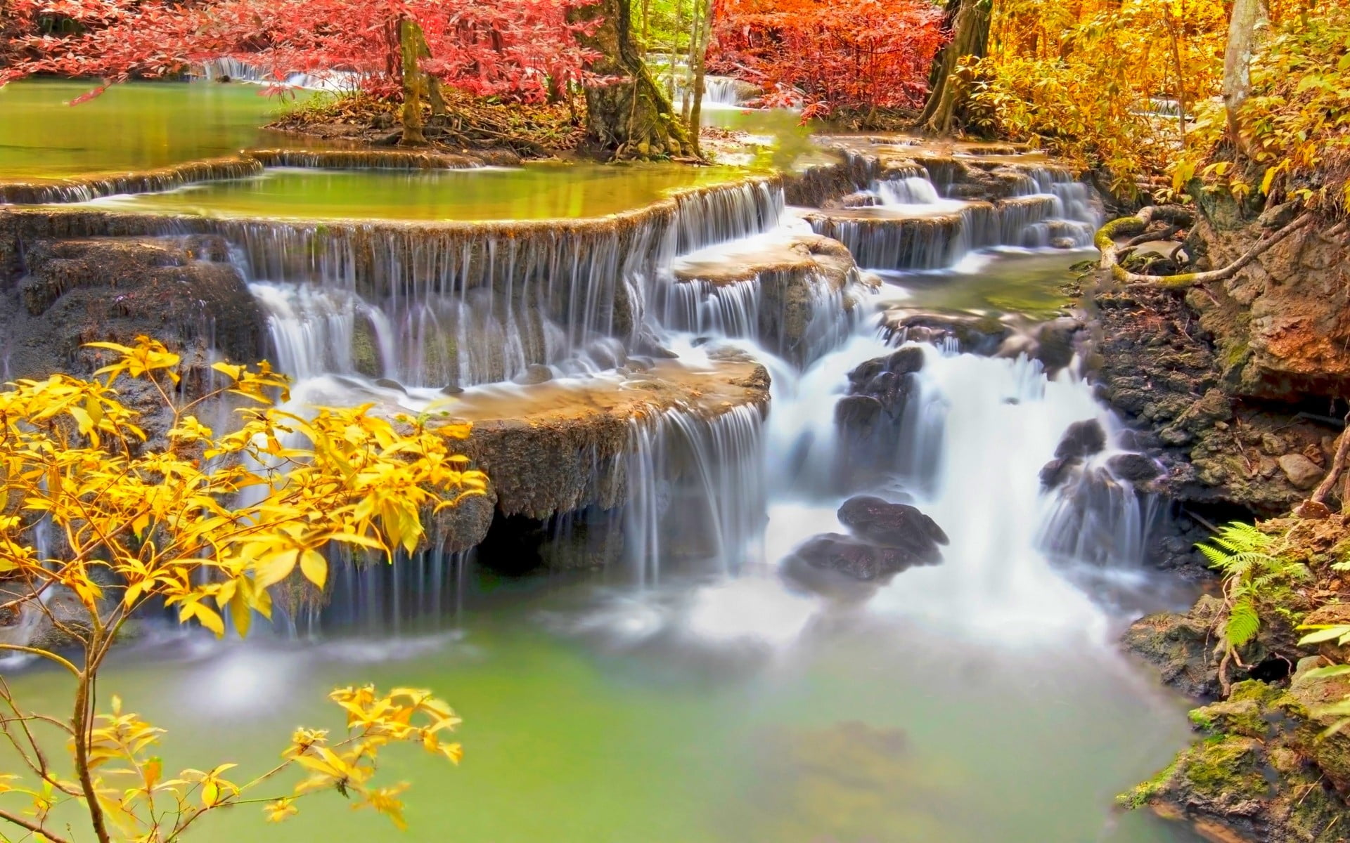 clear waterfalls landscape nature colorful trees roots tropical 2k