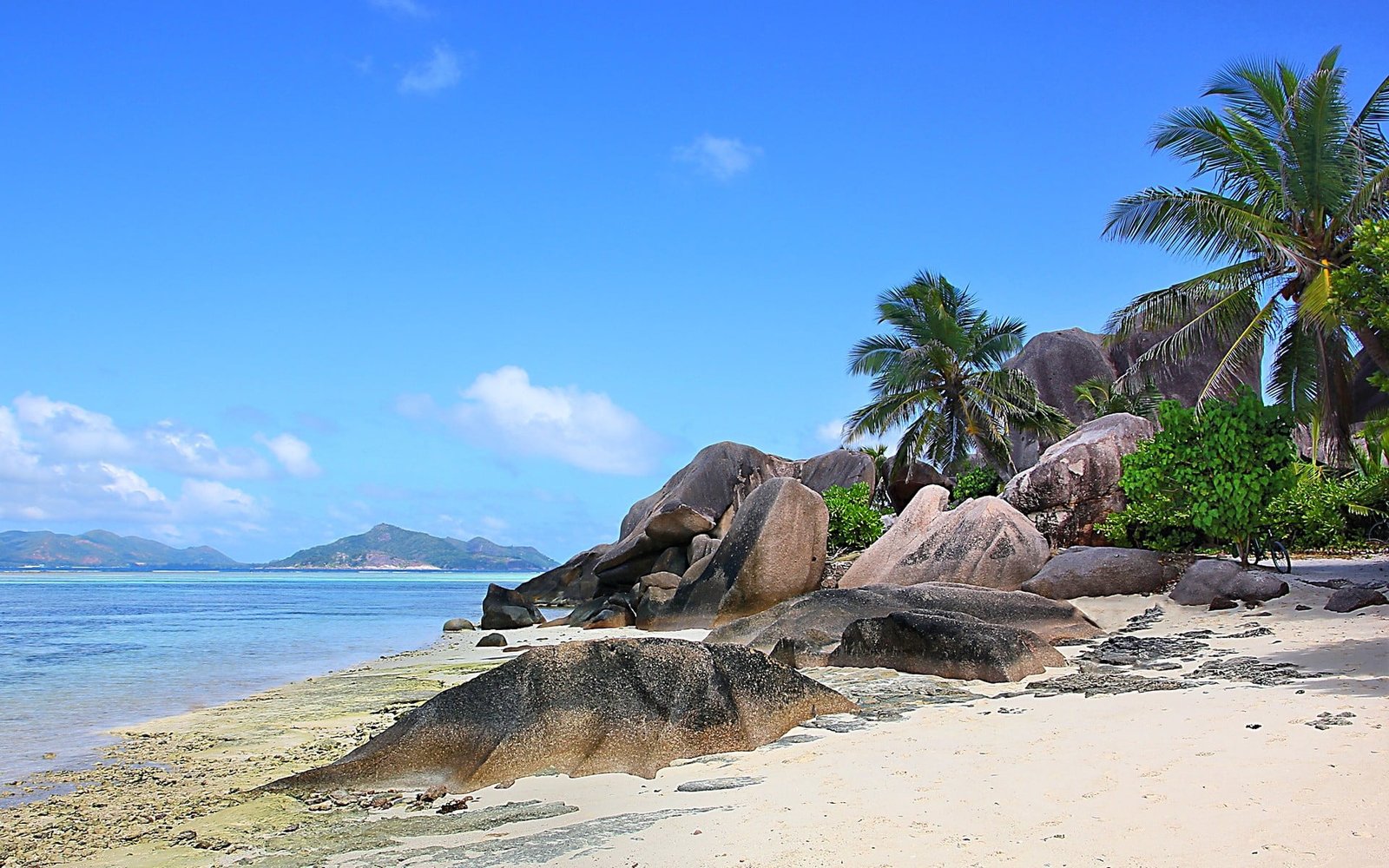 coconut tree nature landscape Seychelles island beach rock 2k