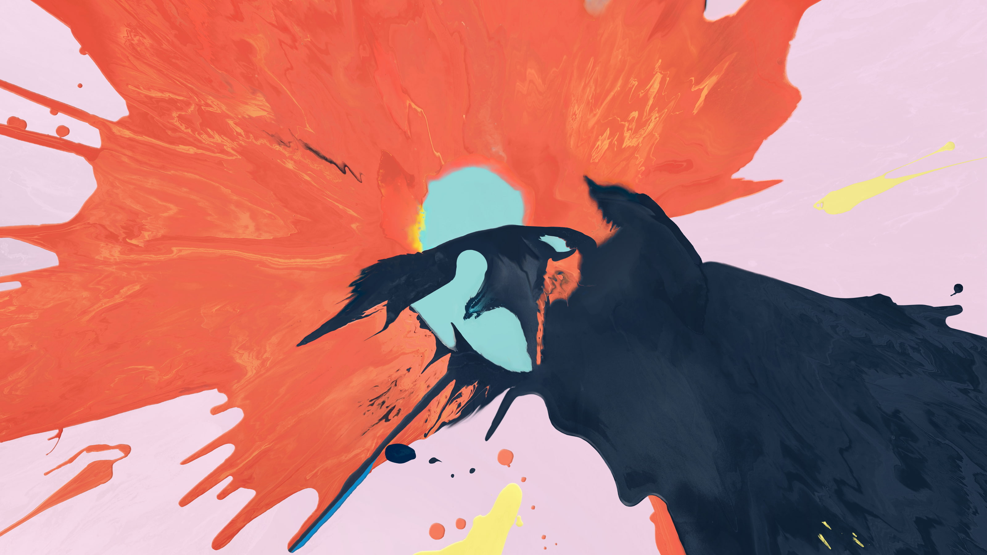 Color Splash iPad Pro Stock animal themes bird wildlife 2k