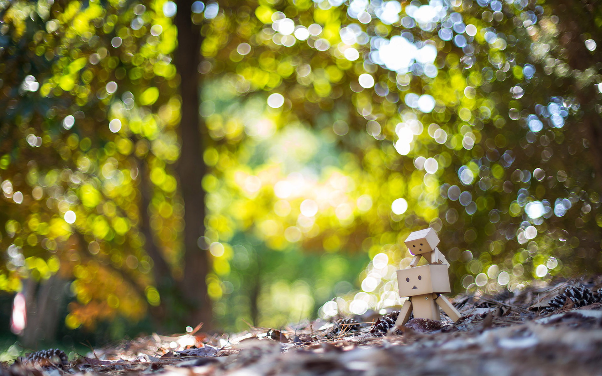Danbo Bokeh HD nature 2k