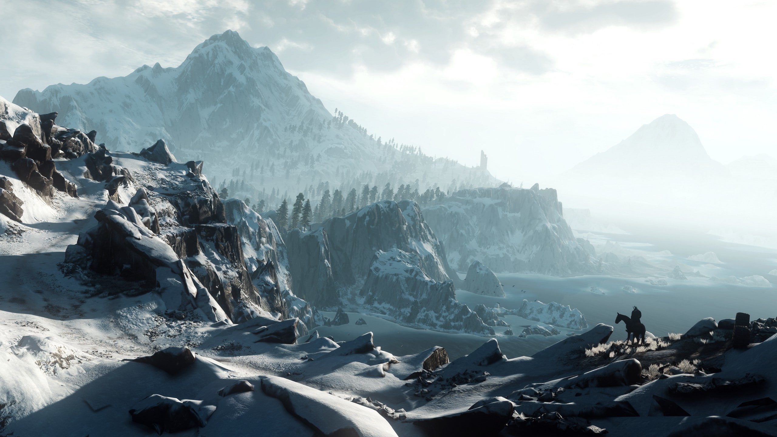 screenshots The Witcher 2k